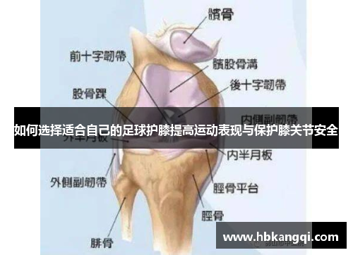 如何选择适合自己的足球护膝提高运动表现与保护膝关节安全